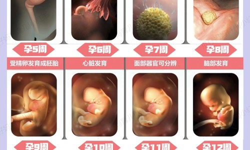 吃辣椒可以燃烧脂肪吗网—知名的吃辣椒能减肥吗还是增肥网站,分享吃辣椒可以燃烧脂肪吗女生知识